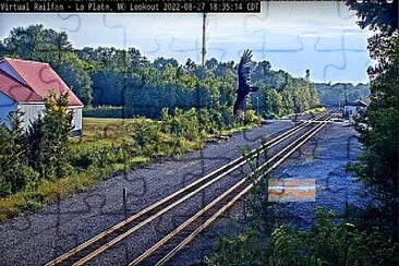 Bird in Flight over the tracks at La Plata,MO/USA jigsaw puzzle