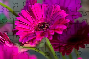 OK jigsaw puzzle