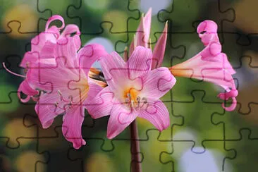 OK jigsaw puzzle