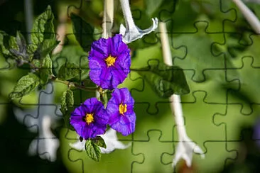 OK jigsaw puzzle