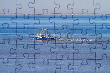 Toy jigsaw puzzle