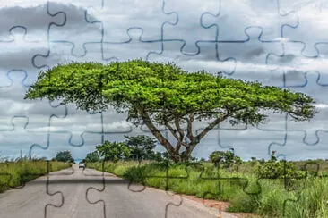 Toy jigsaw puzzle