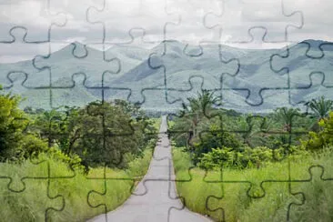 Toy jigsaw puzzle