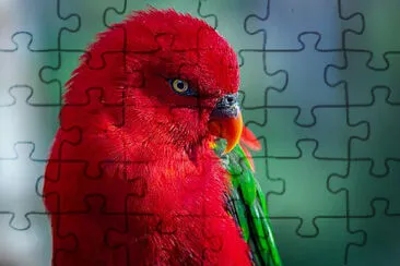 Toy jigsaw puzzle