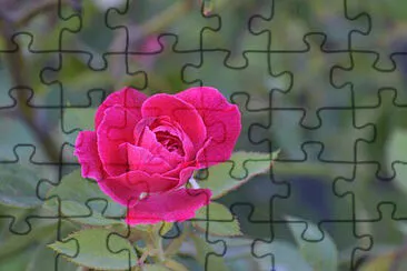 OK jigsaw puzzle