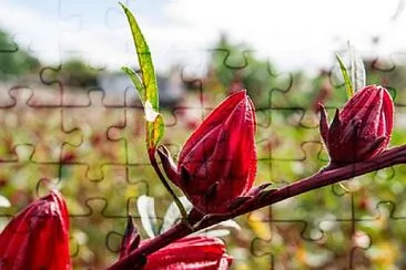 imagem jigsaw puzzle