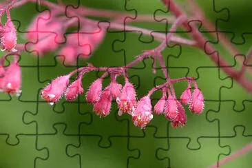 OK jigsaw puzzle