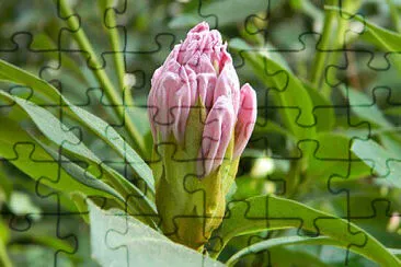 OK jigsaw puzzle