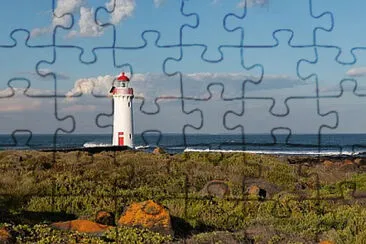 Toy jigsaw puzzle