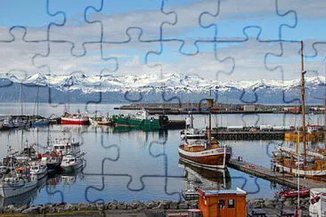 Toy jigsaw puzzle