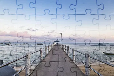 Toy jigsaw puzzle