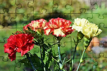 OK jigsaw puzzle