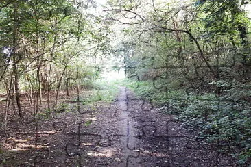 פאזל של la luce in fondo altunnel