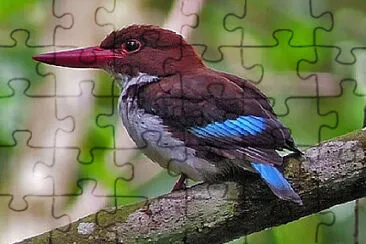 Toy jigsaw puzzle