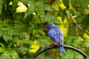 Toy jigsaw puzzle