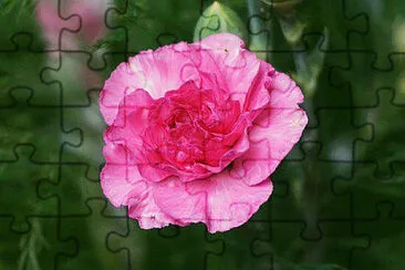 OK jigsaw puzzle