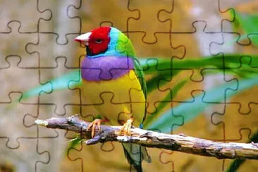 Toy jigsaw puzzle