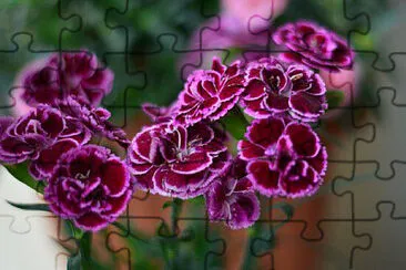 OK jigsaw puzzle