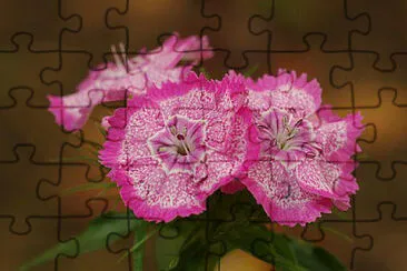 OK jigsaw puzzle