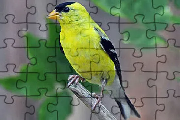 Toy jigsaw puzzle