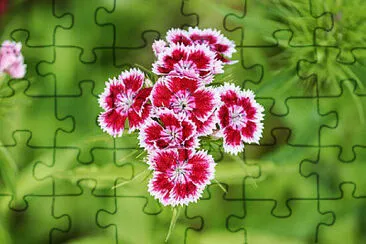 OK jigsaw puzzle