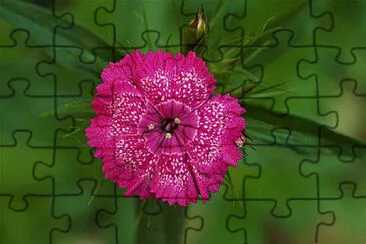 OK jigsaw puzzle