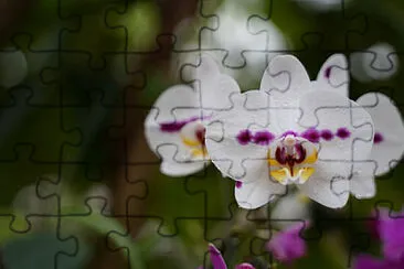 OK jigsaw puzzle