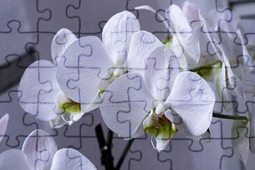 OK jigsaw puzzle