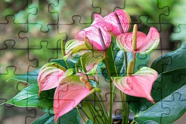 OK jigsaw puzzle