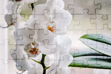 OK jigsaw puzzle