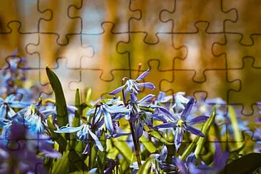 OK jigsaw puzzle