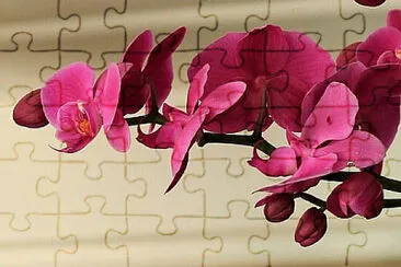 OK jigsaw puzzle