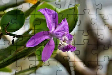 OK jigsaw puzzle