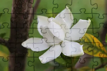 OK jigsaw puzzle