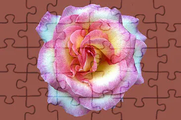 OK jigsaw puzzle