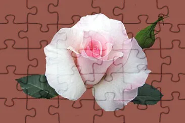 OK jigsaw puzzle