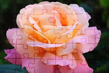 OK jigsaw puzzle