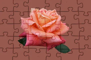 OK jigsaw puzzle