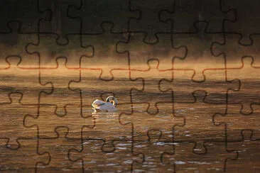 Toy jigsaw puzzle