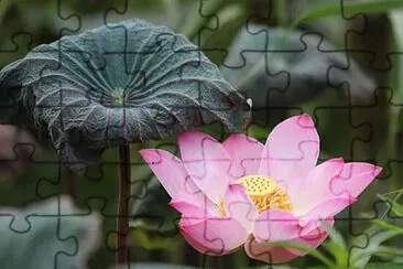 Toy jigsaw puzzle