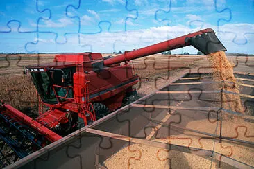 Toy jigsaw puzzle