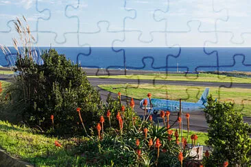 Toy jigsaw puzzle