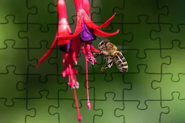 OK jigsaw puzzle