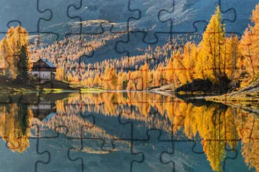 Toy jigsaw puzzle