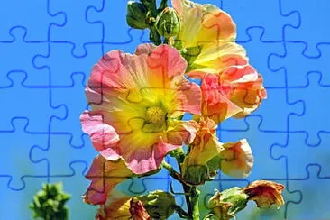 OK jigsaw puzzle