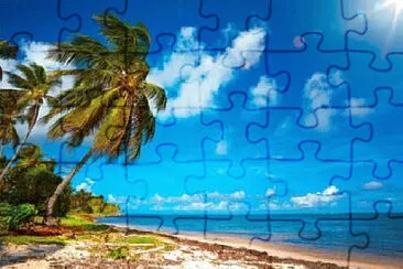 Toy jigsaw puzzle