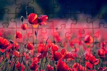 Toy jigsaw puzzle