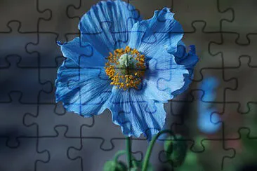 OK jigsaw puzzle