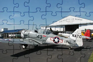 Texan jigsaw puzzle