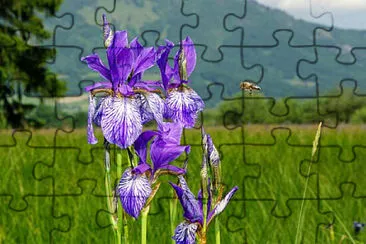 OK jigsaw puzzle